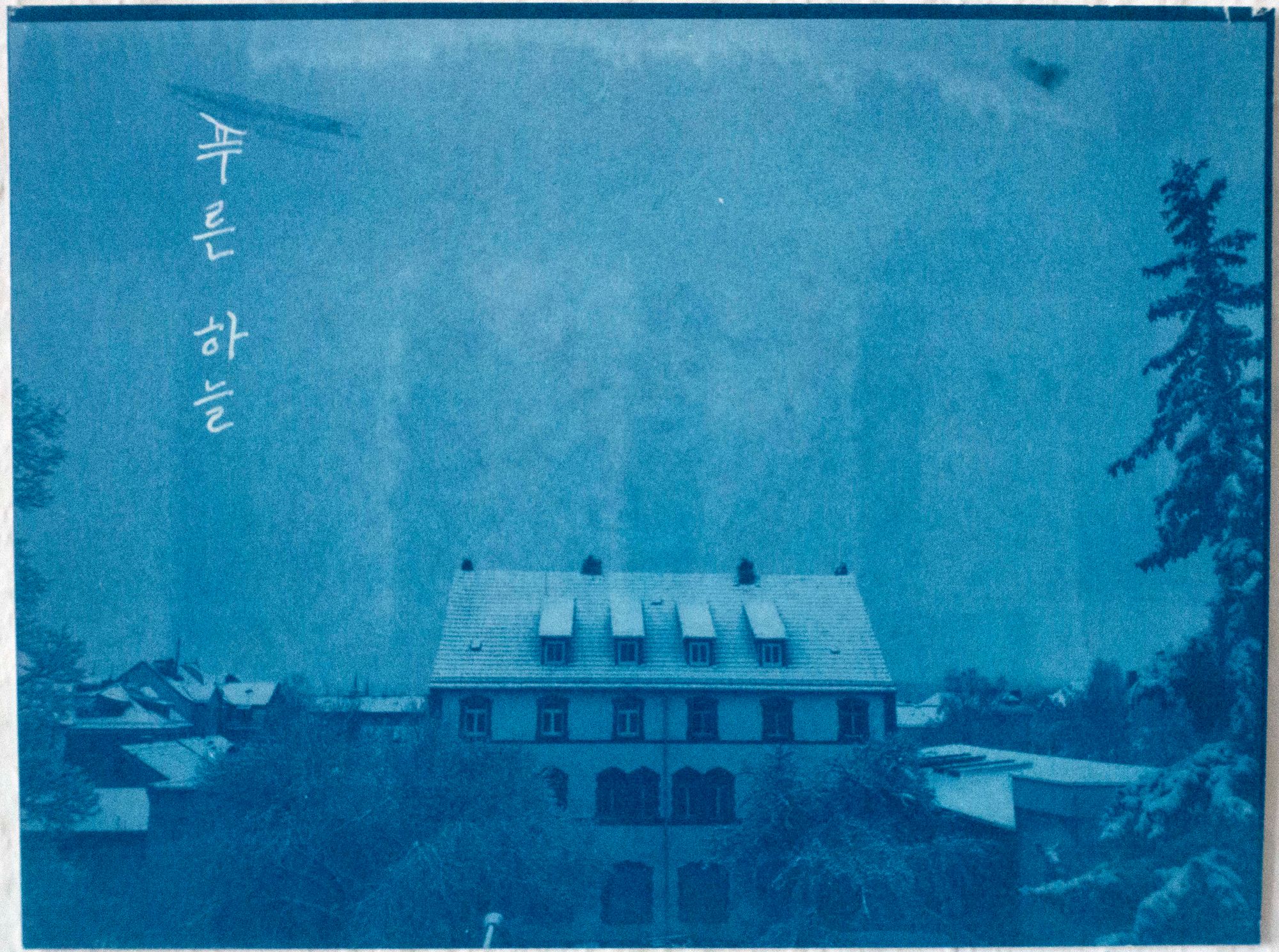 Cyanotype